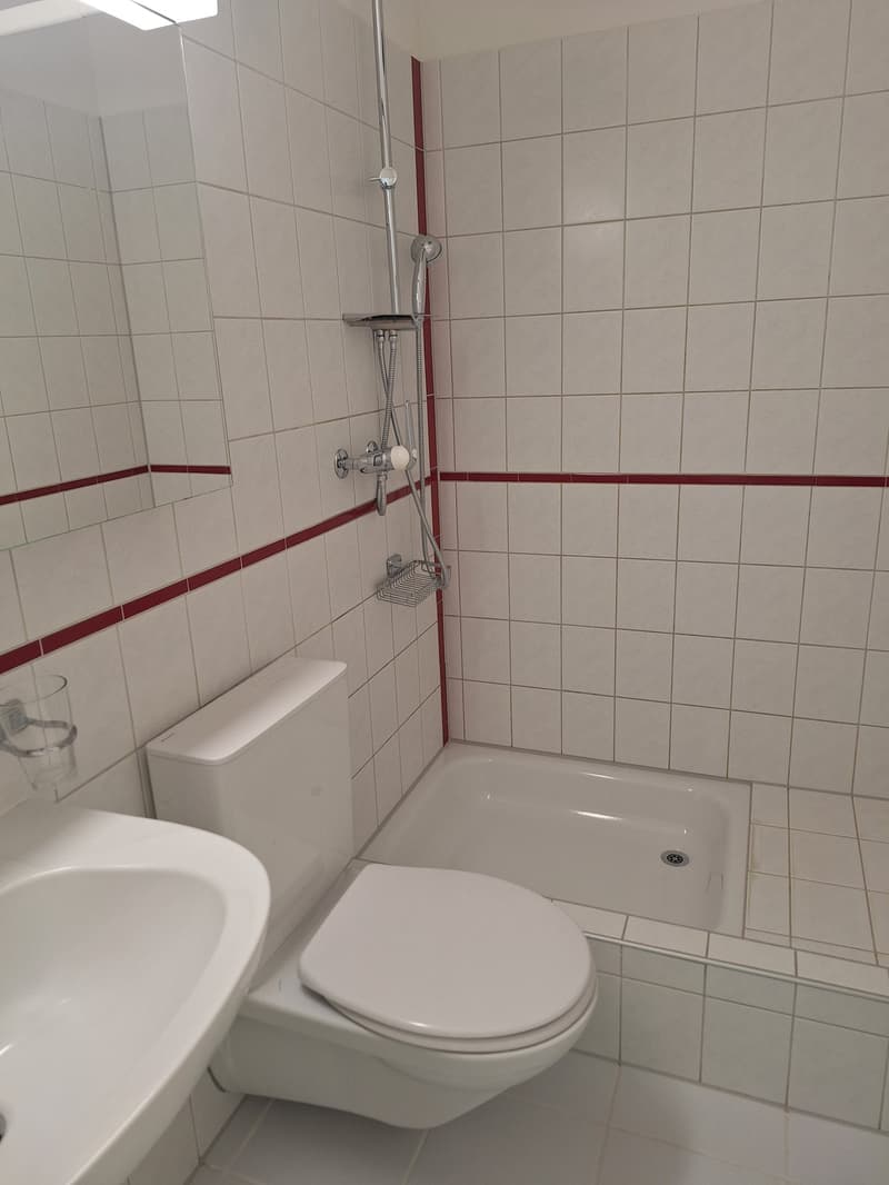4 1/2-Zimmer-Parterre-Wohnung (7)