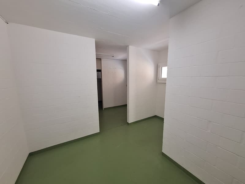 4 1/2-Zimmer-Parterre-Wohnung (8)