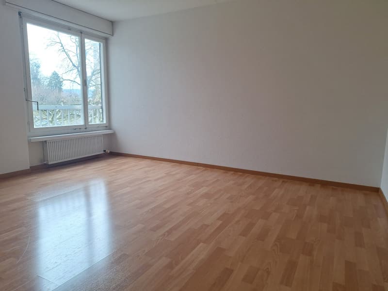 3.5-Zimmer-Wohnung Tiefenhofstrasse 15 (7)