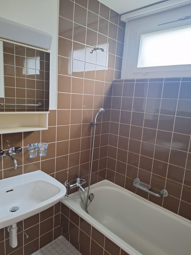 3.5-Zimmer-Wohnung Tiefenhofstrasse 15 (5)