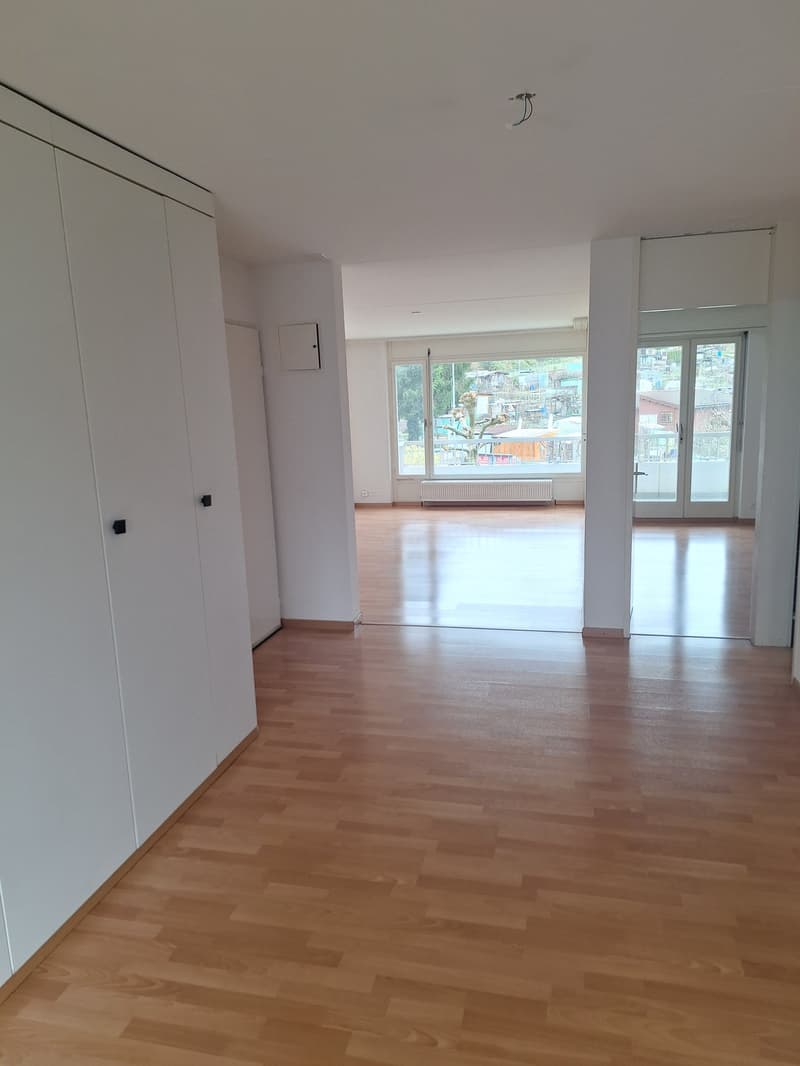 3.5-Zimmer-Wohnung Tiefenhofstrasse 15 (8)