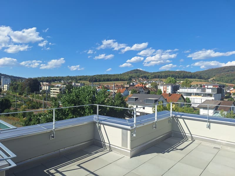 neu renovierte 3.5-Zimmer-Attika-Wohnung (2)