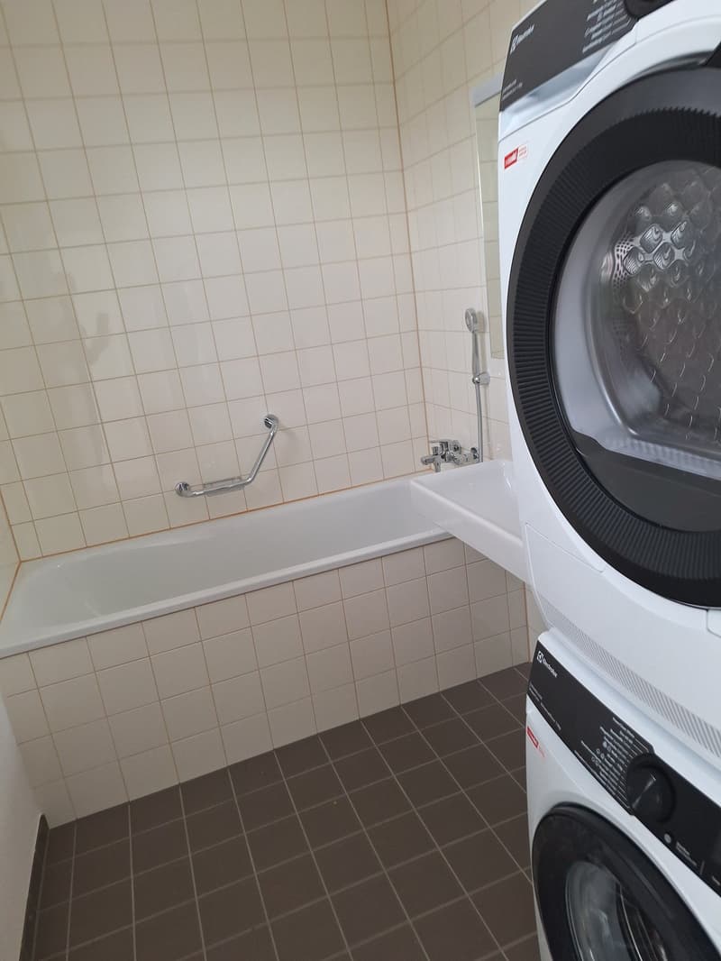 neu renovierte 3.5-Zimmer-Attika-Wohnung (6)