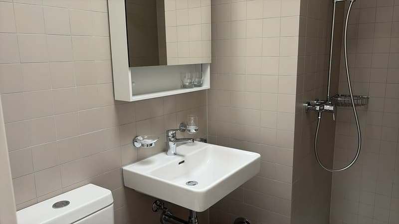 neu renovierte 4.5-Zi-Wohnung (8)