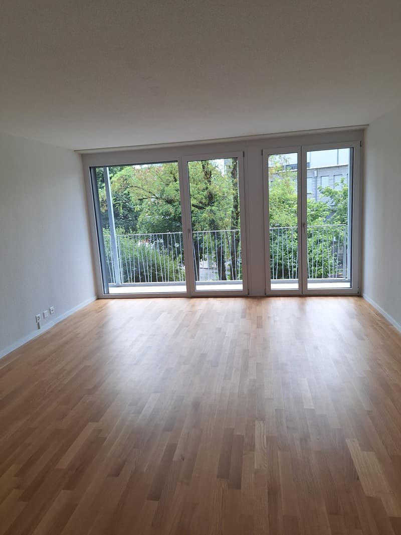 neu renovierte 4.5-Zi-Wohnung (2)