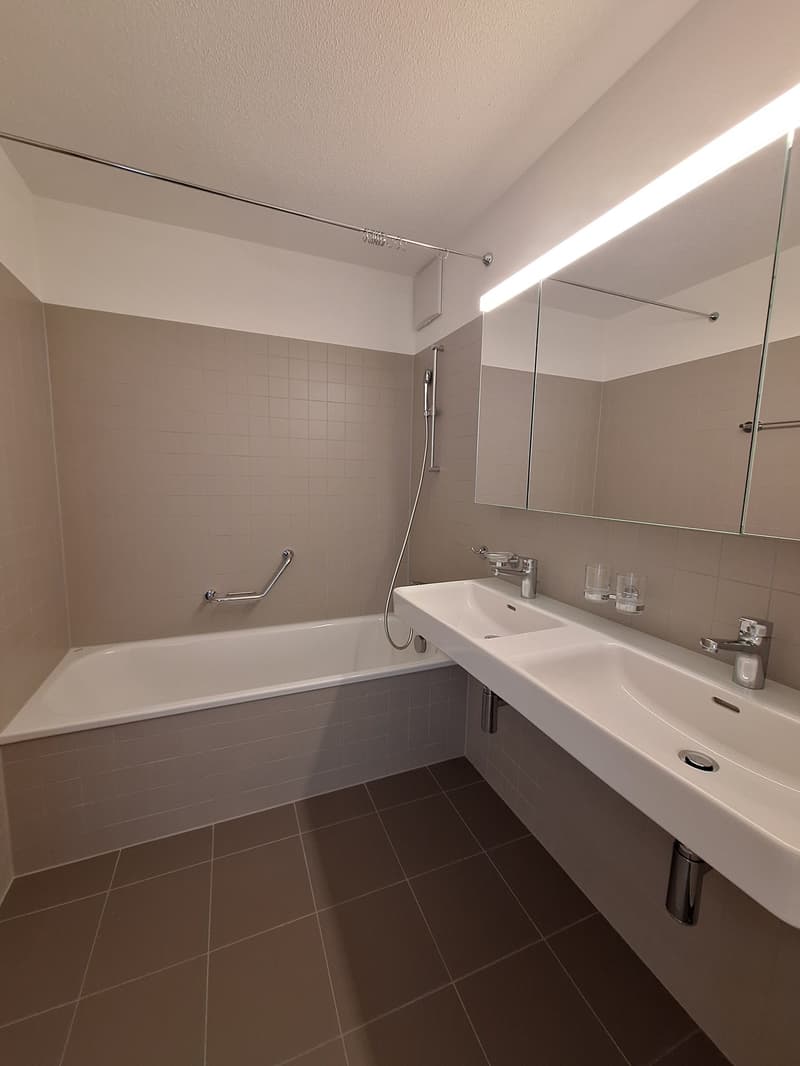 neu renovierte 4.5-Zi-Wohnung (7)