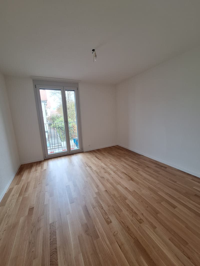 neu renovierte 4.5-Zi-Wohnung (4)