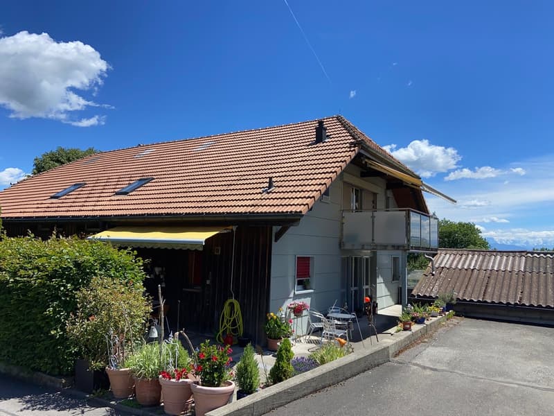Grosszügige 6.5-Zimmer-Wohnung mit grosser Terrasse und Garten (10)