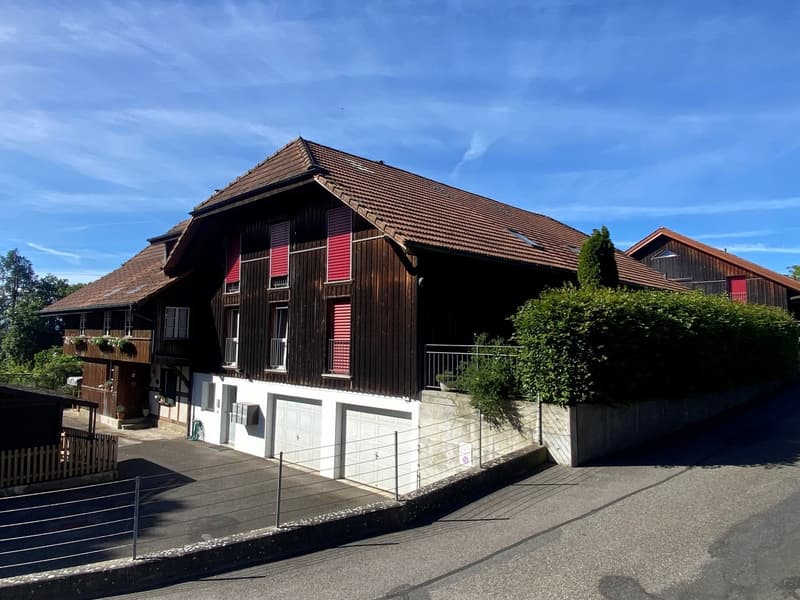 Grosszügige 6.5-Zimmer-Wohnung mit grosser Terrasse und Garten (15)
