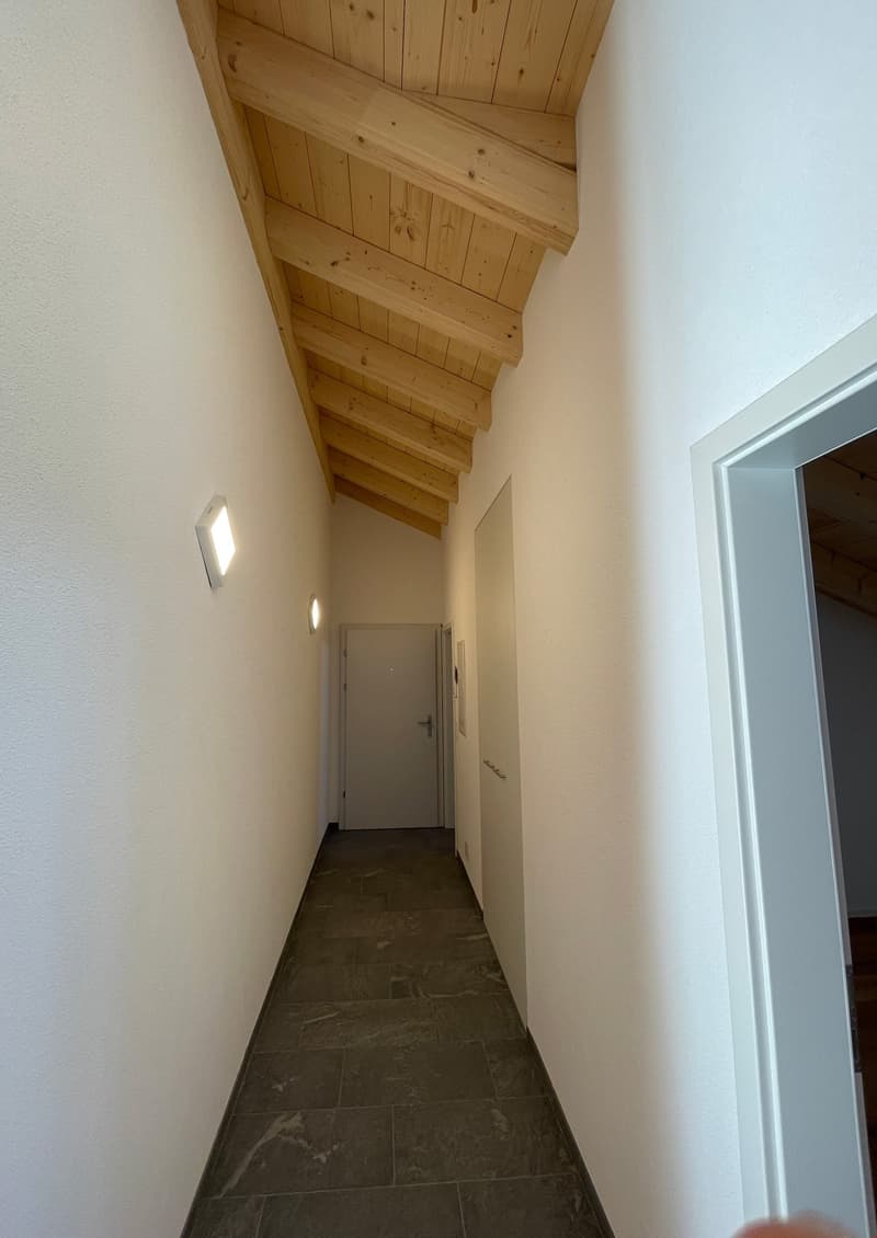 neue Dach-Loftwohnung 2.5 Zimmer (6)