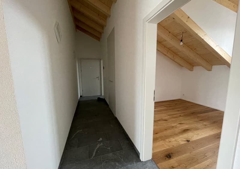 neue Dach-Loftwohnung 2.5 Zimmer (16)