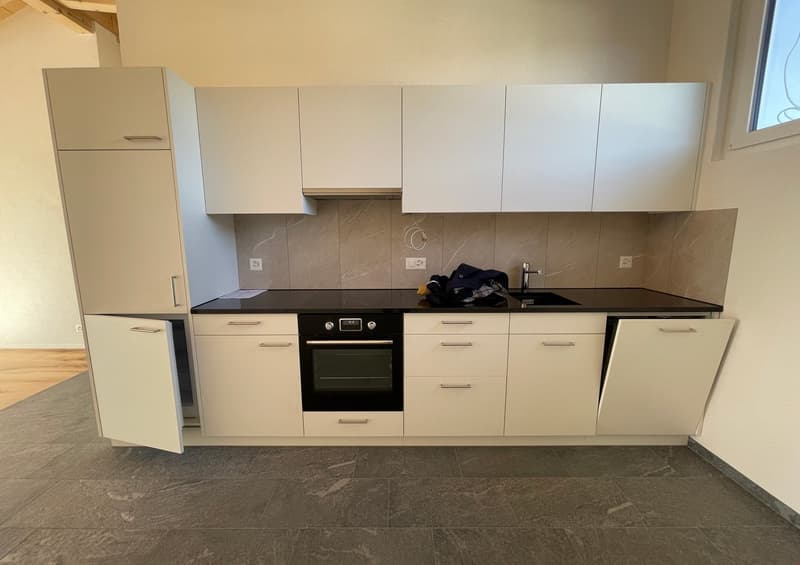 neue Dach-Loftwohnung 2.5 Zimmer (7)