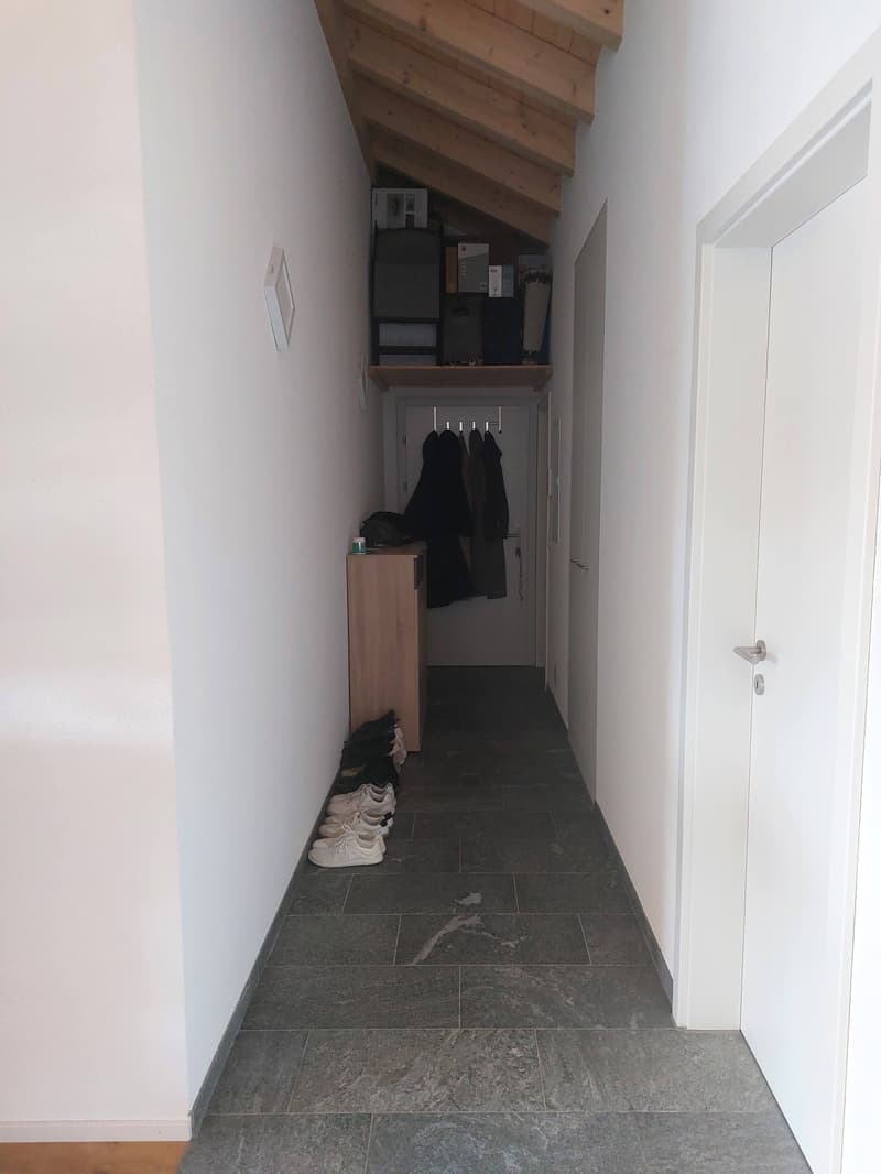 neue Dach-Loftwohnung 2.5 Zimmer (15)