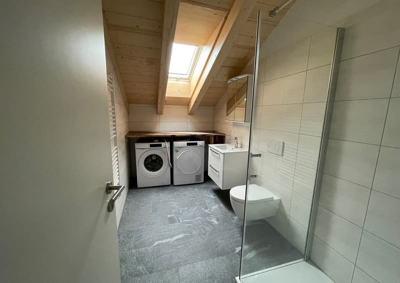 neue Dach-Loftwohnung 2.5 Zimmer (12)