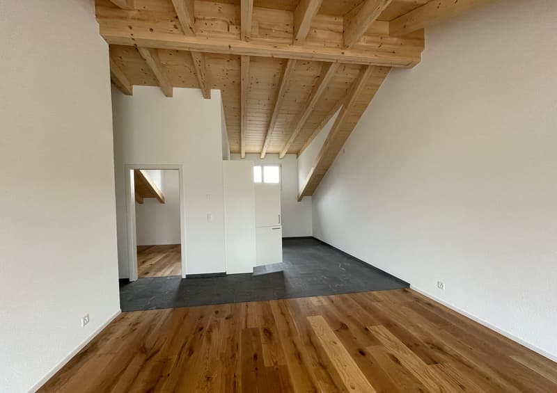 neue Dach-Loftwohnung 2.5 Zimmer (4)