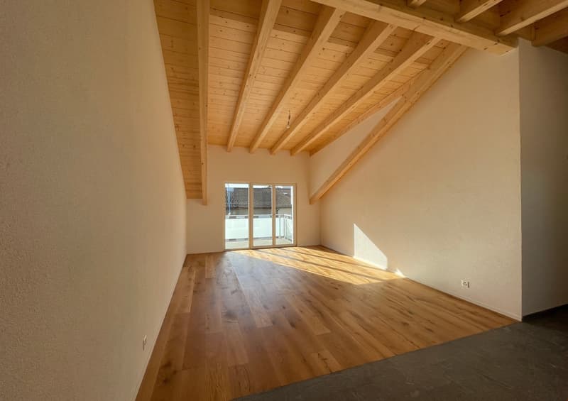 neue Dach-Loftwohnung 2.5 Zimmer (2)
