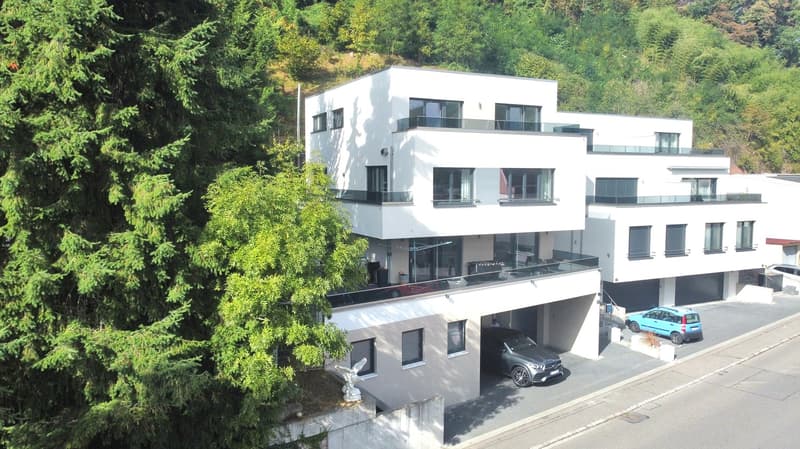 Moderne neuwertige 7 Zi. - Villa in Degerfelden mit energieeffizienter Wärmepumpe & Photovoltaikan. (1)