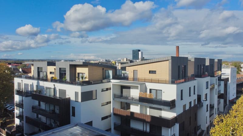 Neubau - Traumhafte 4 Zi. Wohnung mit grosser Terrasse offenem Grundriss und Garage (1)