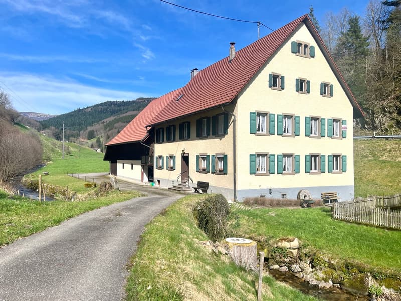 Schwarzwälder Bauernhaus mit großen Grundstück und Garten im Kleinen Wiesental in Bürchau (10)