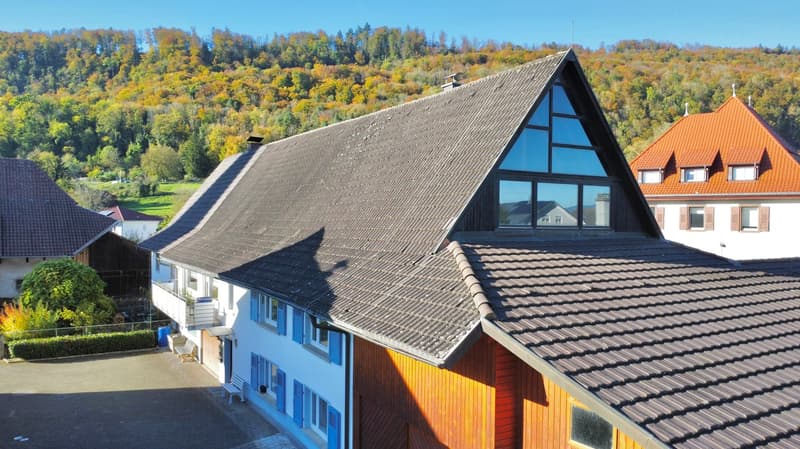 Charmanter Hof mit grossem Sanierungspotenzial Einliegerwohnung und grosser Baulandreserve in Herten | homegate.ch