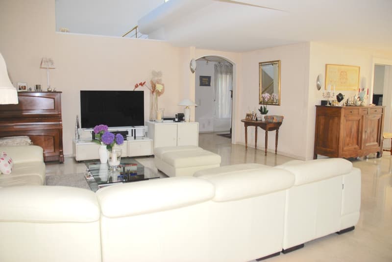 Binningen: Attraktive 6,5 Zi. Villa an Bestlage mit Indoorpool u. v. m. (3)