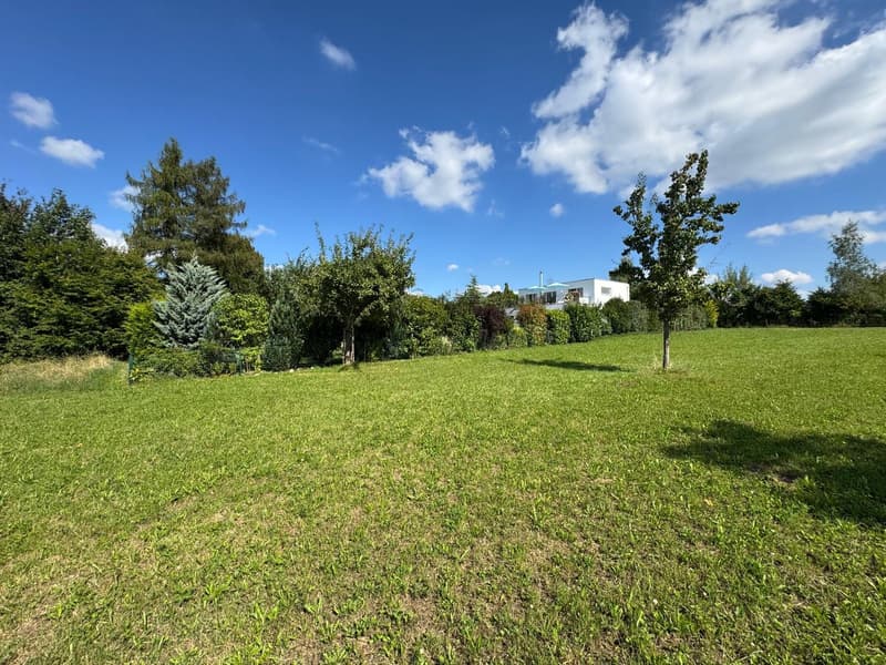 wide lawn with various bushes and trees, and a house visible in the background