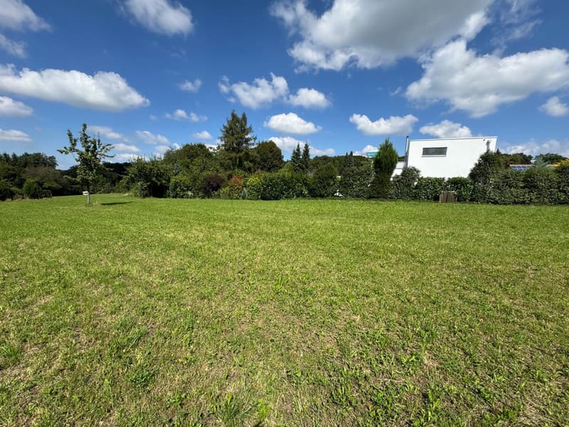 large grassy lawn with a white building in the background and trees surrounding the area