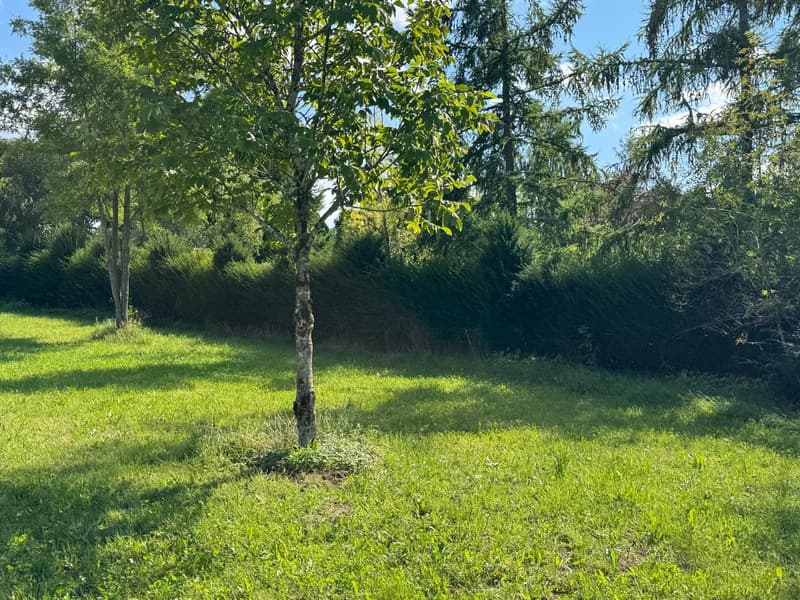 wide green grassy area, few trees and bushes in the background