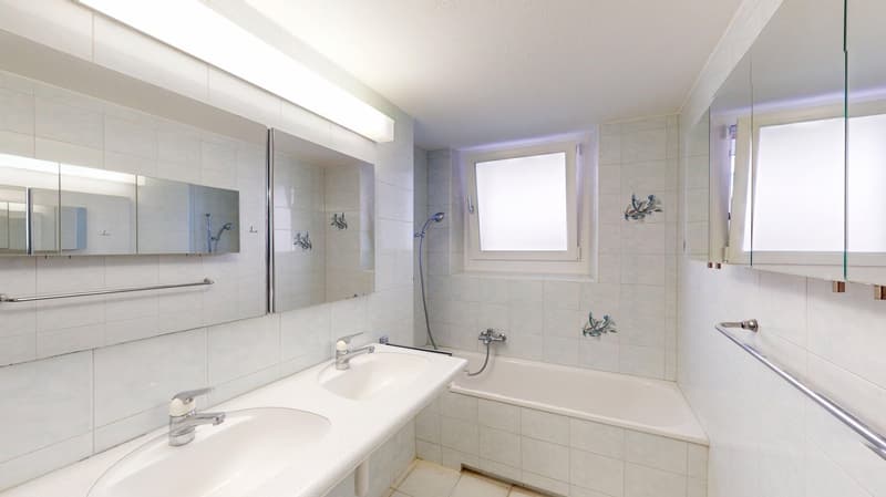 double sink, bathtub, shower, mirrors