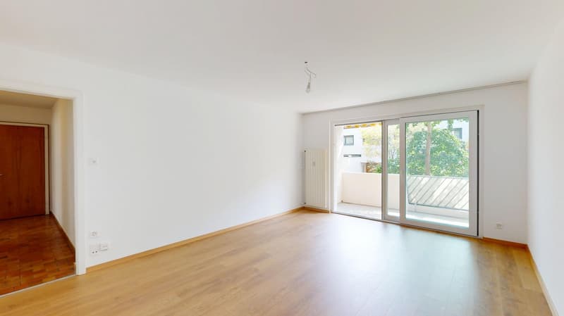 wooden floor, white walls, sliding door, balcony