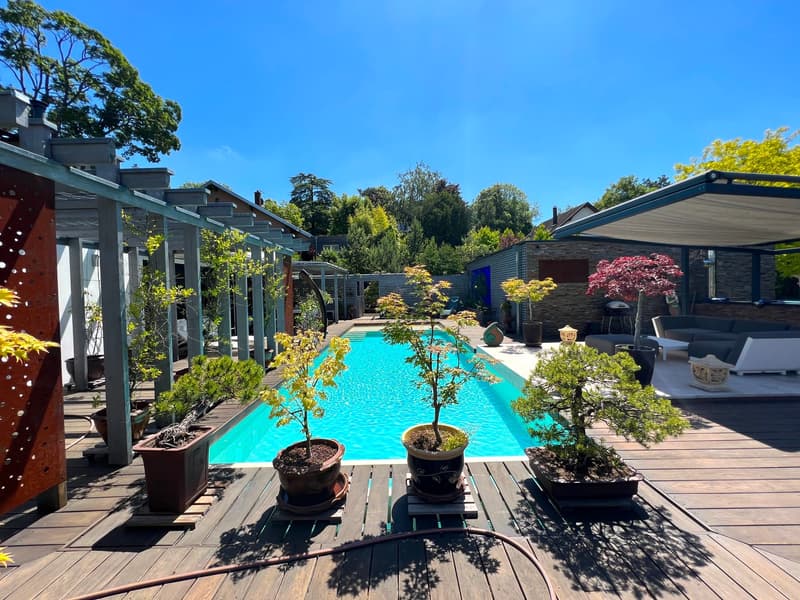 Outdoor wooden deck, swimming pool, multiple bonsai trees in pots, outdoor seating with couch, shade canopy, greenery and trees in the background, clear blue sky.