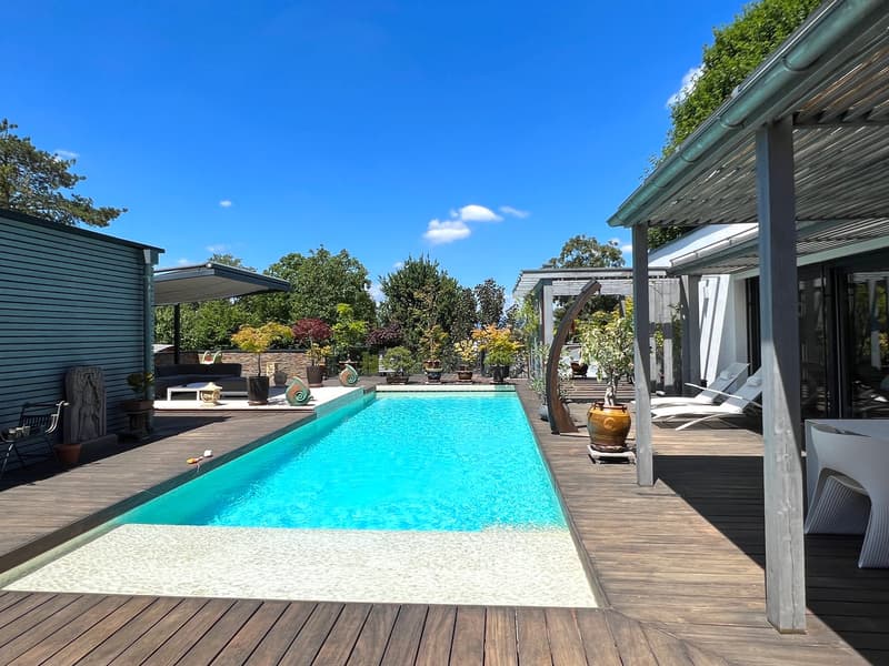 A large rectangular swimming pool, surrounded by a wooden deck, adorned with lounge chairs and a decorative canopy. There is greenery surrounding the pool with various potted plants and statues.