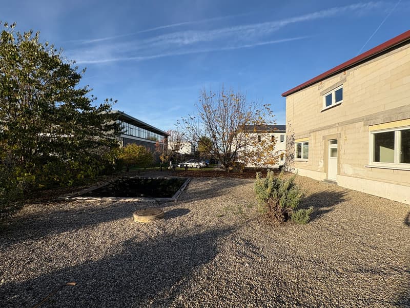 gravel driveway, garden beds, mature trees, nearby residential buildings, clear sky, small pond, shadows