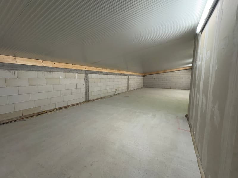 A basement room, unfinished with exposed walls and concrete floor, bare space, and visible beams.