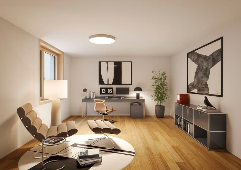 home office, wooden floor, desk, two monitors, chair, book shelves, floor lamp, potted plant, table, round carpet