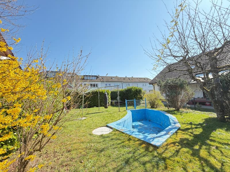 small blue swimming pool, green grass, yellow flowers, trees, bushes, houses in the background