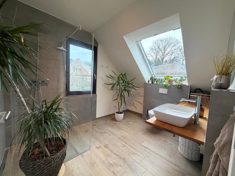 modern bathroom with wooden floor, glass shower enclosure, white sink, plants, skylight window