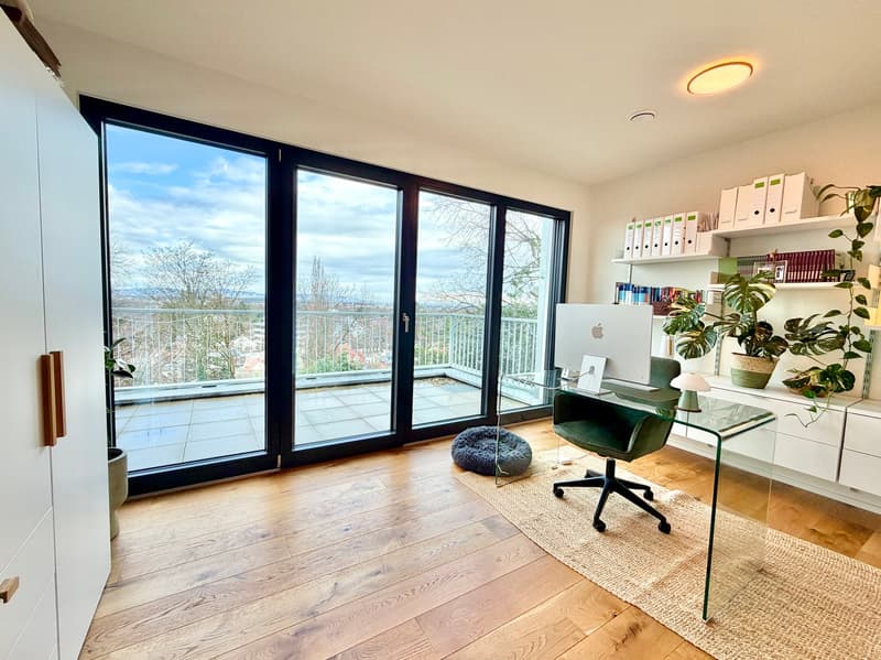 wooden floor, glass sliding doors, balcony, desk, chair, monitor, plants, rug, cabinet, shelves