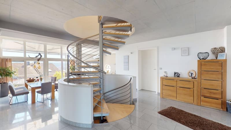 modern interior, spiral staircase, white walls, wooden floor, dining table, chairs, wooden cabinet, rug, plants