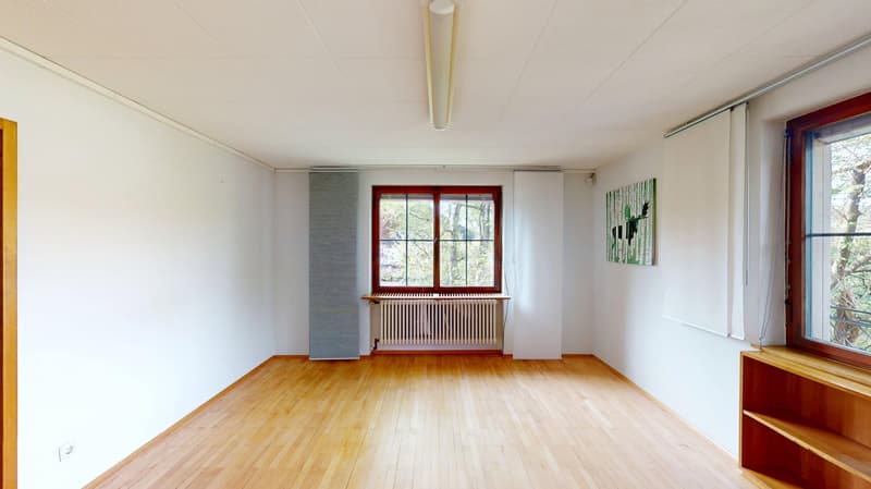 Grosszügiges Eigenheim, nutzbar als Wohn-/Geschäftshaus mit großem Grundstück,  in ruhiger Lage (8)