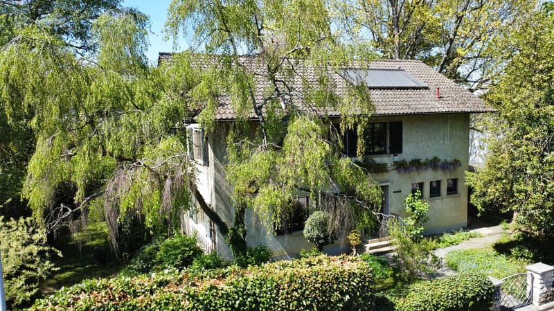 Grosszügiges Eigenheim, nutzbar als Wohn-/Geschäftshaus mit großem Grundstück,  in ruhiger Lage (10)