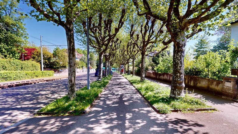 Charmantes Einfamilienhaus mit idyllischem Gartenparadies im begehrten Bruderholzquartier (2)