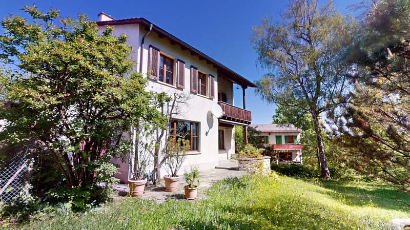 Charmantes Einfamilienhaus mit idyllischem Gartenparadies im begehrten Bruderholzquartier (3)