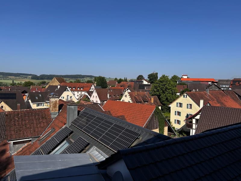Charmantes 4,5-Zimmer-EFH in sonniger Lage von Holzen mit Garten, Garage und Renovationspotential (1)