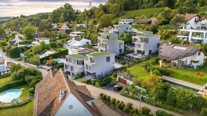 Neubauprojekt Biel-Benken-Panorama Einfamilienhaus mit nachhaltigem Holzbau in traumhafter Lage (2)