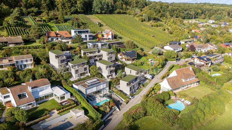 Neubauprojekt Biel-Benken-Panorama Einfamilienhaus mit nachhaltigem Holzbau in traumhafter Lage (2)