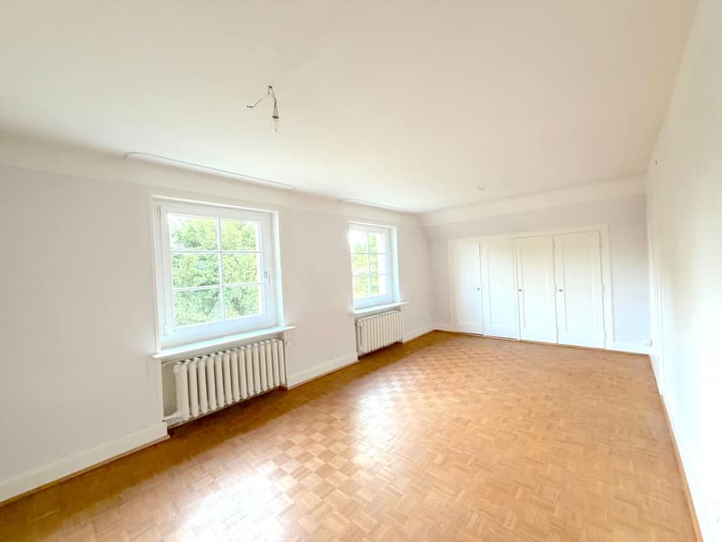 Stylish 10-Room Townhouse in a Prime Location in Riehen with a Stunning Garden and Garage Box (9)