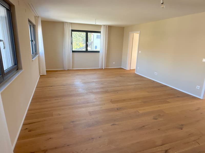 Modern  6-room detached house with  lift, dream garden in one of Dornach’s best family neighborhoods (9)