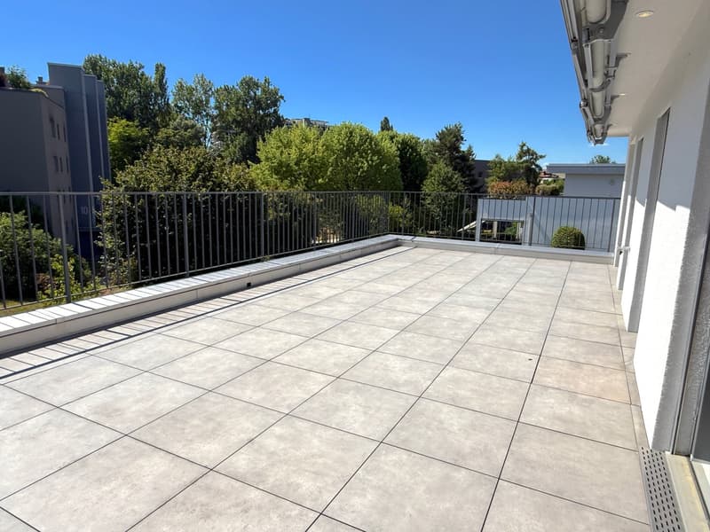 Modern  6-room detached house with  lift, dream garden in one of Dornach’s best family neighborhoods (10)