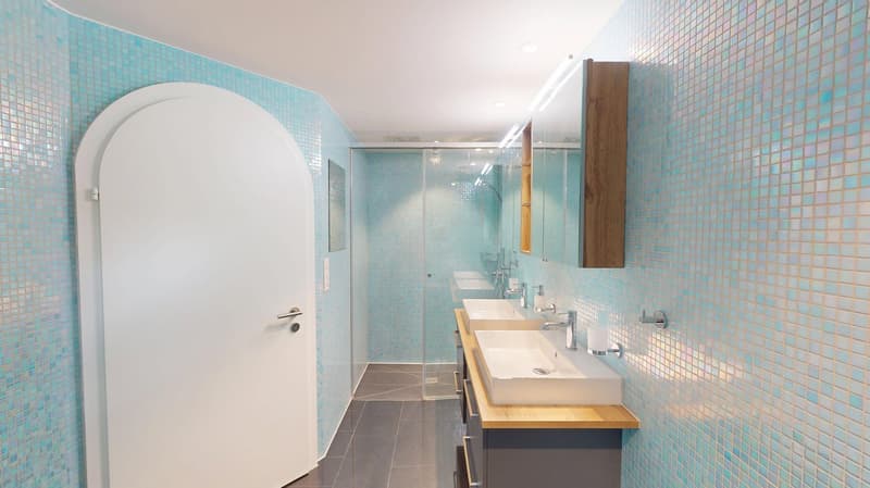 Elegante 9. Zi. Landhausvilla mit modernem Indoorpool am Muttenzer Dürrberg (10)
